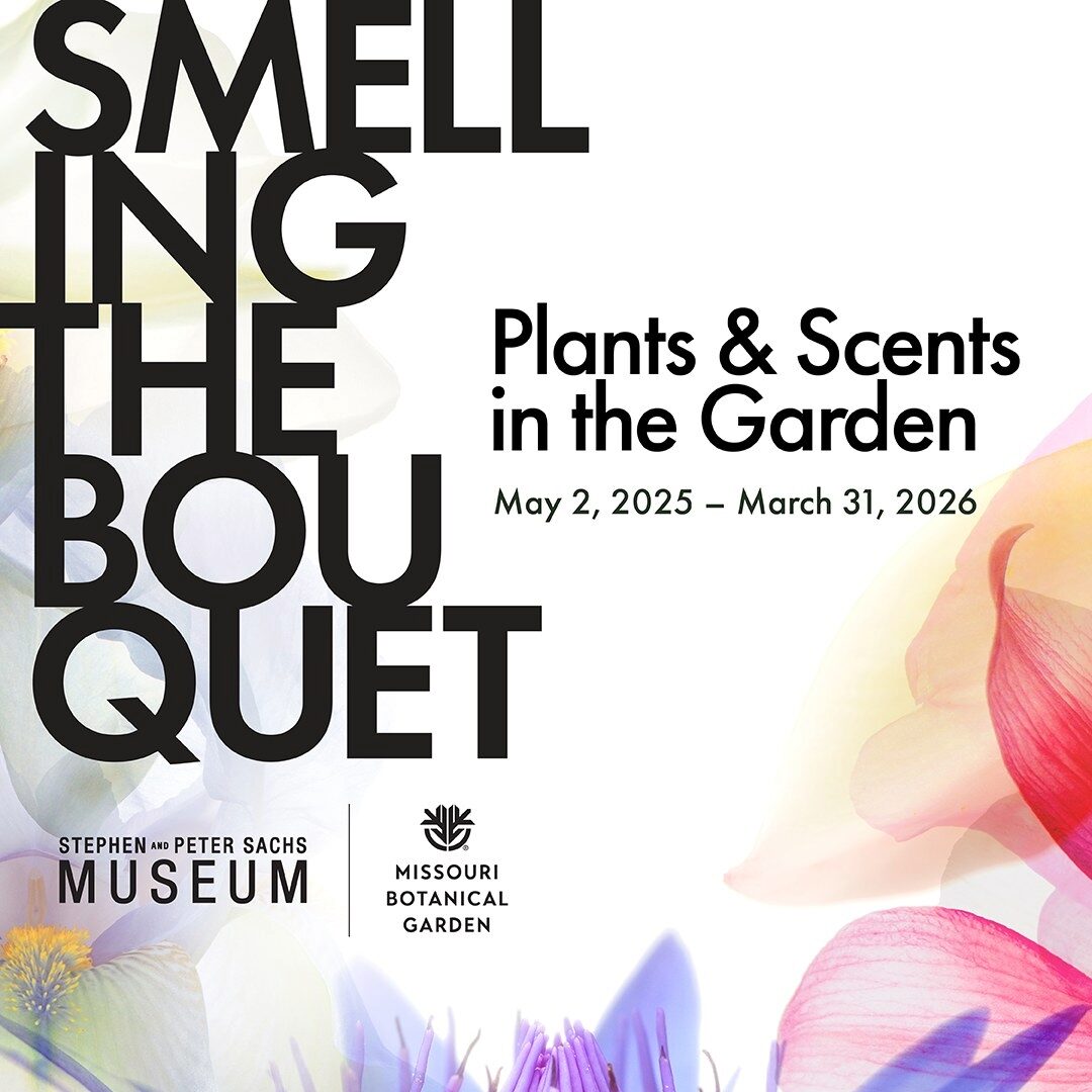 Sachs Museum