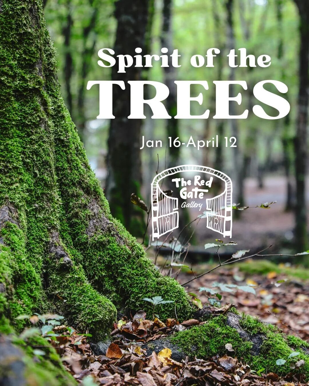 Red Gate Gallery: Spirit of the Trees