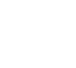 St. Louis Mural Project logo